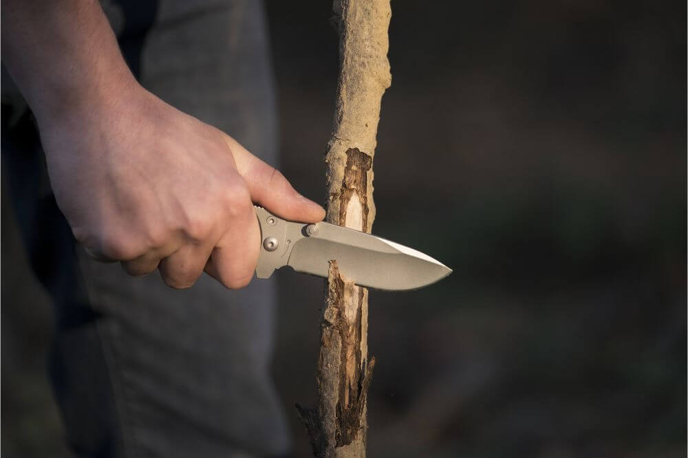 How To Survive with Just a Knife 2 How to Survive in the Woods with Just a Knife